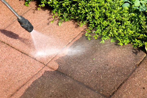 Best Roof Pressure Washing  in Wilmington Island, GA